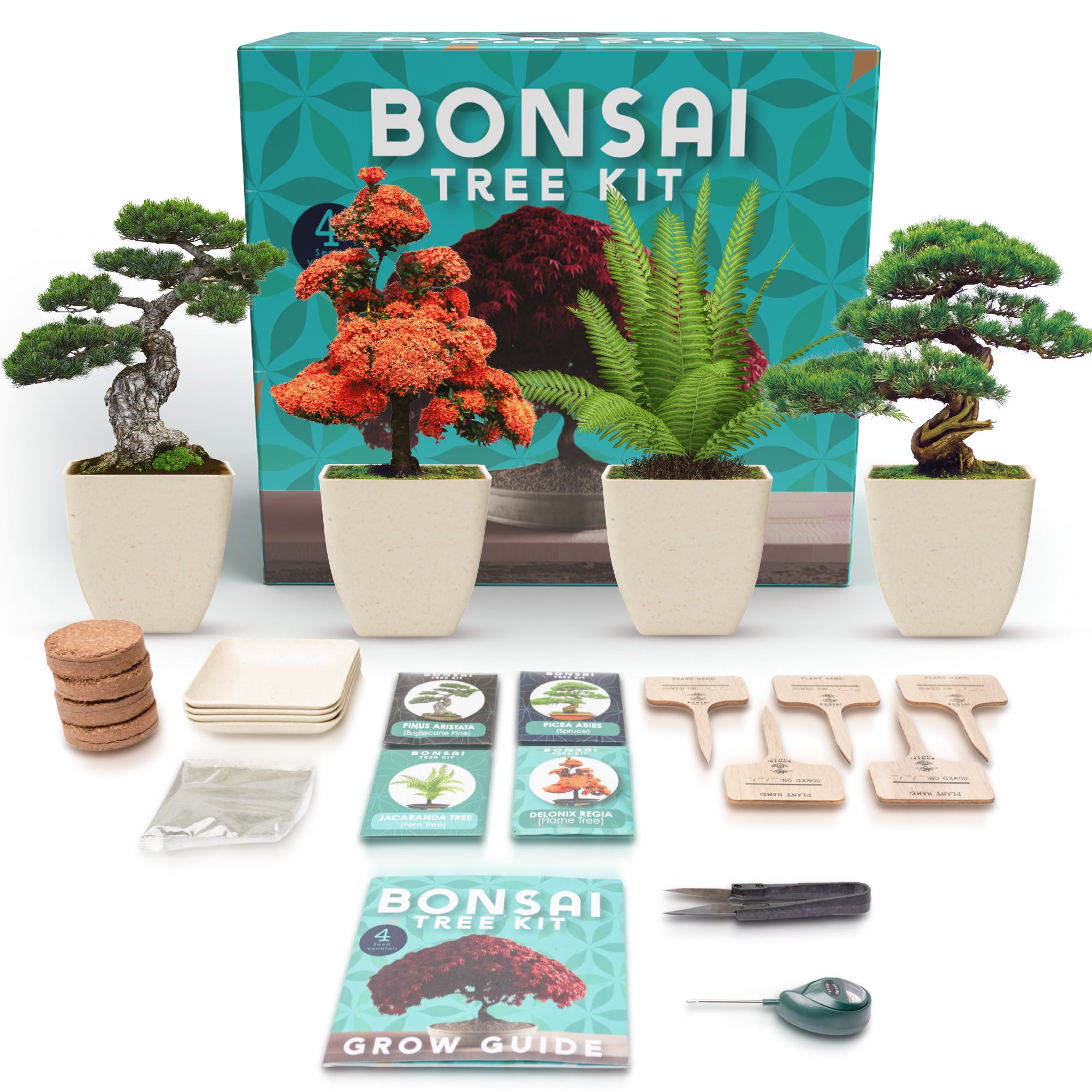 The Art of Bonsai Grow Kit in Gift Box
