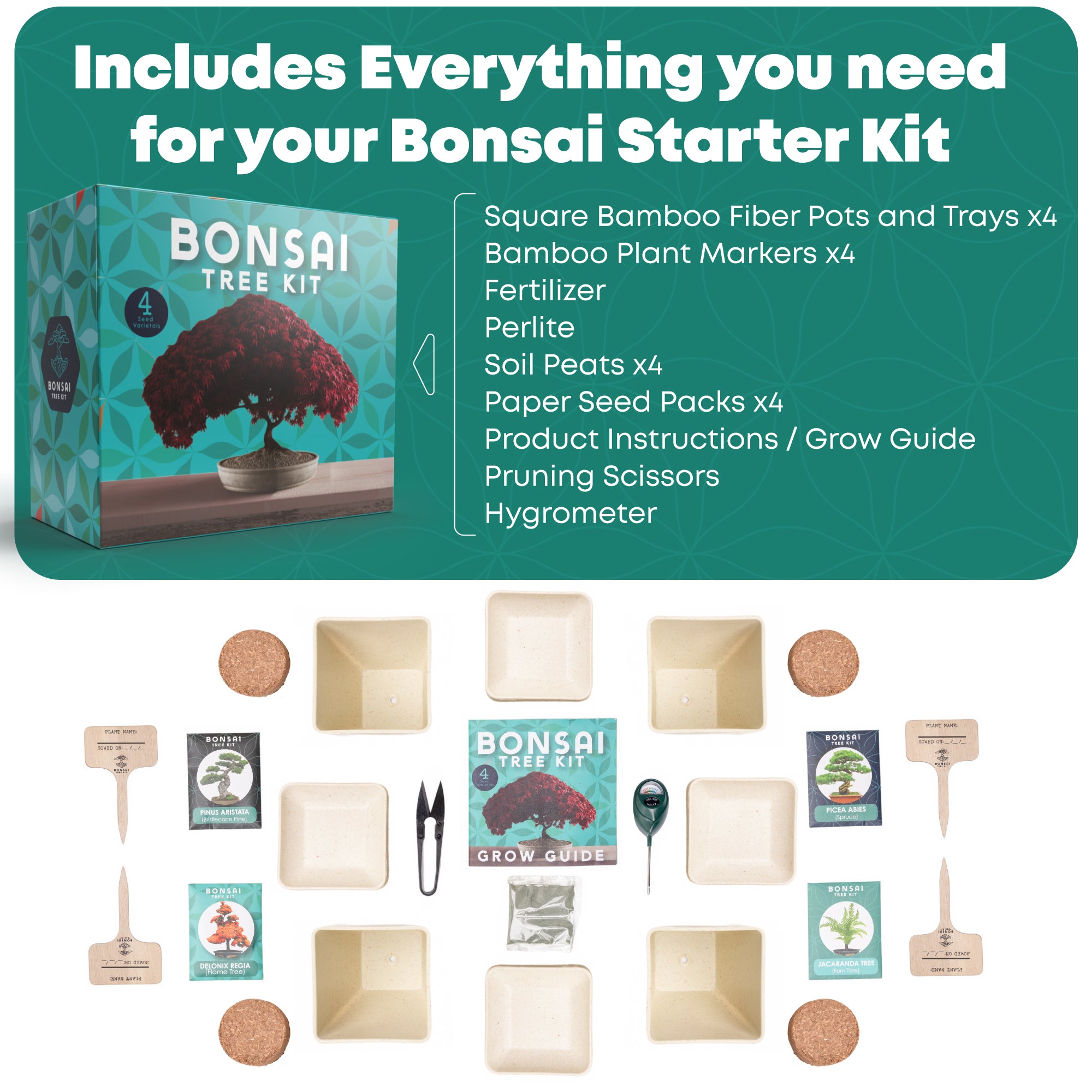 Indoor Bonsai Tree Kit